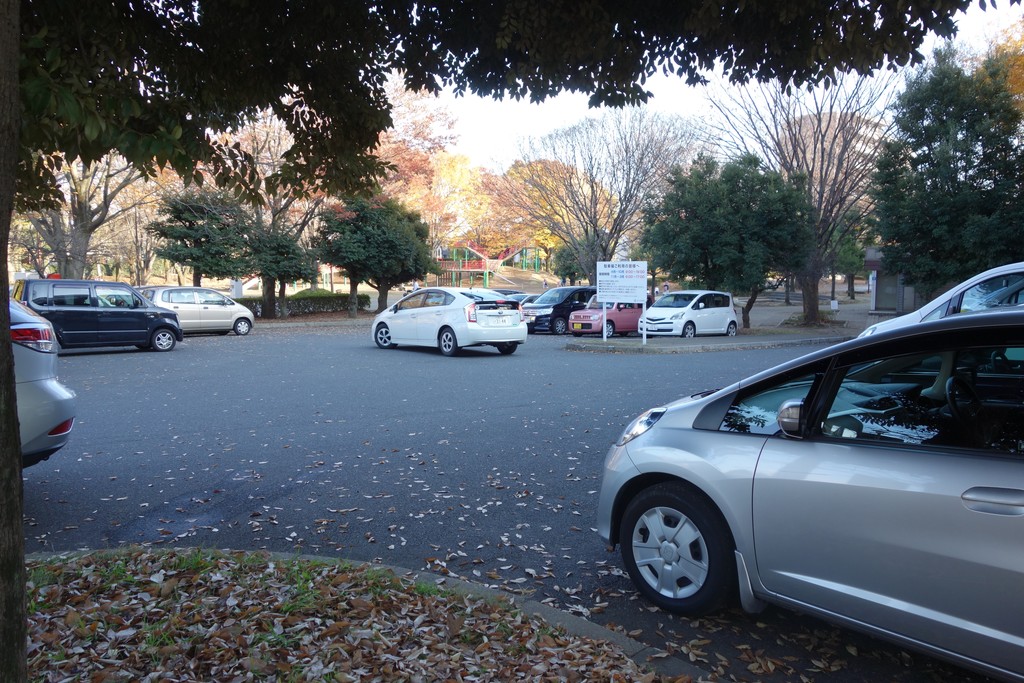 【公園徹底攻略】与野公園 バラとサクラの名所 流転三昧 【公園徹底攻略】与野公園 バラとサクラの名所 流転三昧